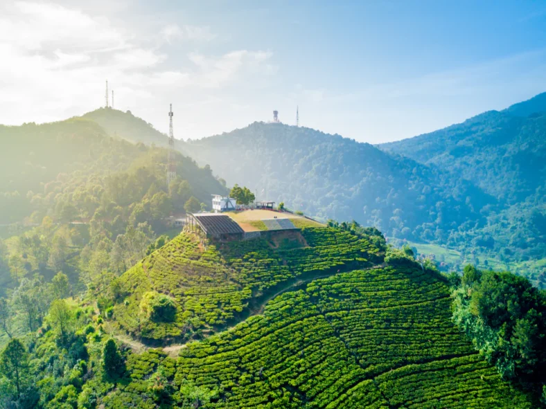 Wisata Alam Terdekat dari Jakarta